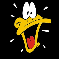 Mr. ducky
