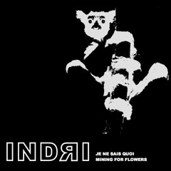 INDRI