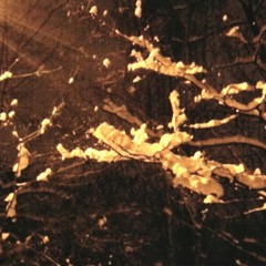 Настасся Талкачова