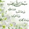 osama elesely