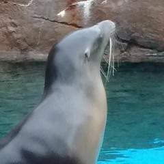 L_O_V_E_dosenotmeanmuch