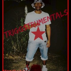 TriggStrumentals