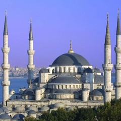 badawy2525