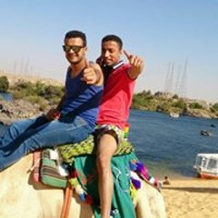 البوب