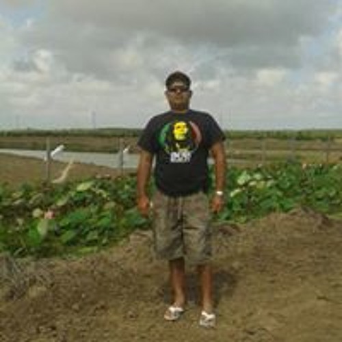 Anil Jaikissoon’s avatar