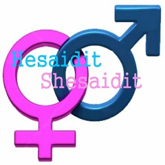 HesaiditShesaidit