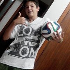 Vinicius Consolaro Fava