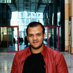 Mohamed El Alfy 6