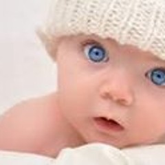 Ahmed Amer