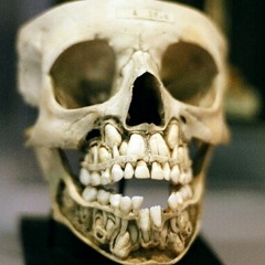 dolmensleeper