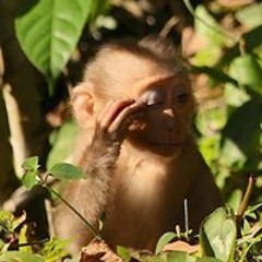 Govinda-das Hugo Liénart