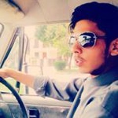 Ali Gilani 8