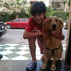 Seif Moataz Hassan