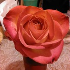 Zitlalic Soriano Arreola