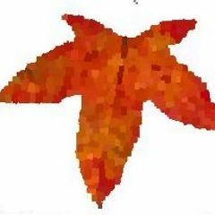 楓的音樂展演空間