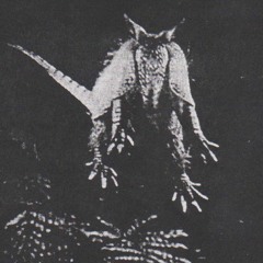 ibarguengoitia