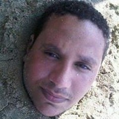 Mohamed Samier El Banna