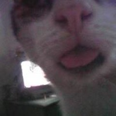 Muhamad Tohir d'CiNners