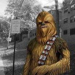 Chawaka DeVaughn Turtle