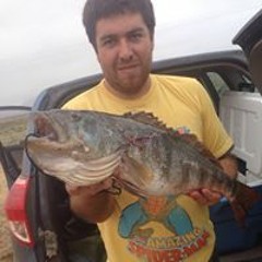 Cristian Tano Godoy Vega