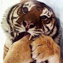 Daniela Carolina Carrillo