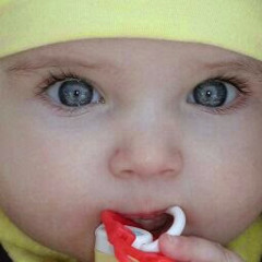 doaa timor