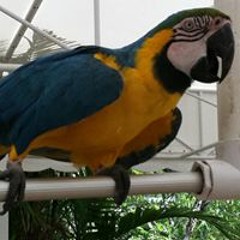 Marla Pauley Elliott