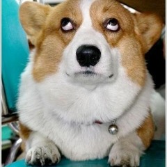 dark cloud over the pond