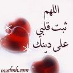 Mohamed Elsayad 3