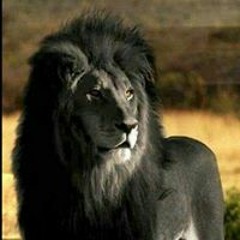 Dontale L. Henderson