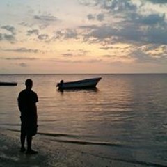 Collie Speller Speller