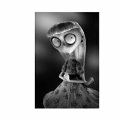 Т. Одончимэг