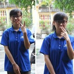 Việt Mỹ Painterjoy