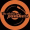 The Electric Panthers (Sessiontakes)