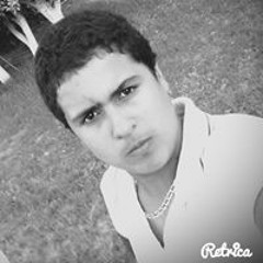 Mahmoud ZOrek