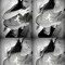Luhh Jayy