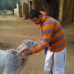 Hare Krishna
