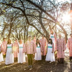 The Polyphonic Spree