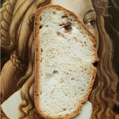 Eloquentia VanHasselbladt