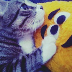 Youssra El'asri (يسرى )