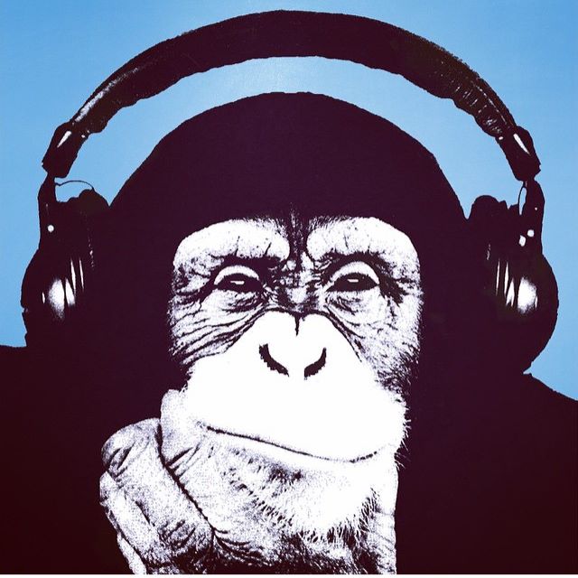 ilikocholo podcast artwork