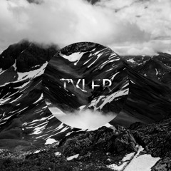 /TYLΞR/