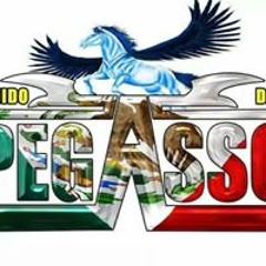 Sonido Pegasso Sanchez