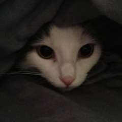 Azanymous