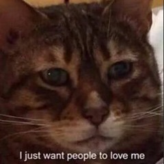 HONESTLY