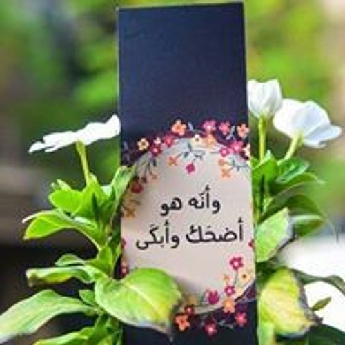Stream Doha Abo el Hasan Music Listen To Songs Albums Playlists For 