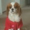 roxy