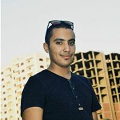 Mohamed Mosleh Alkady