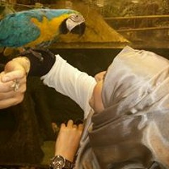 Fatima M Al Taweel