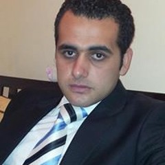 Hamdy Elsayed Mansour